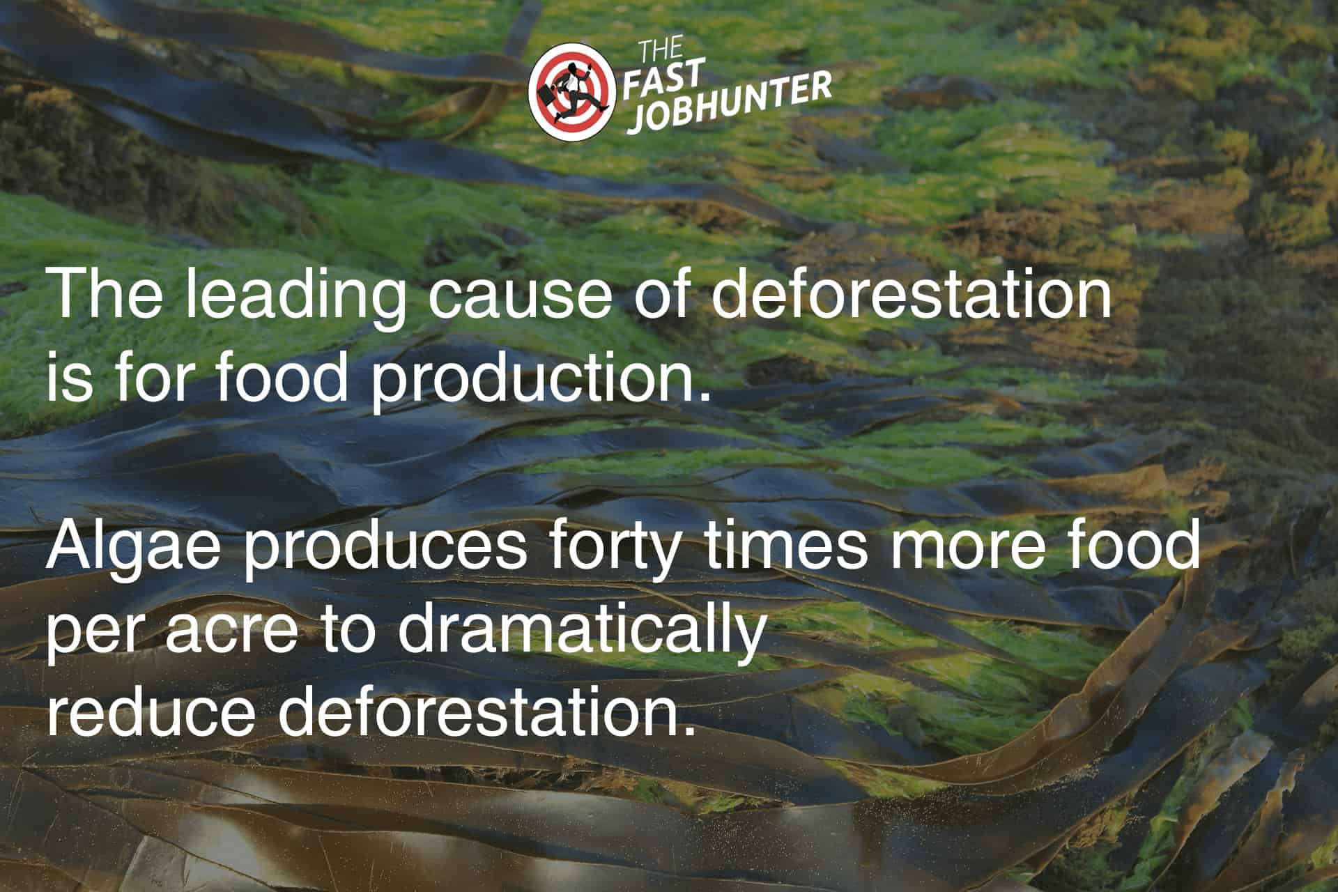The Leading Cause of Deforastation is Food Production